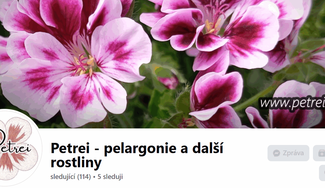 Jsem na sociální síti Facebook